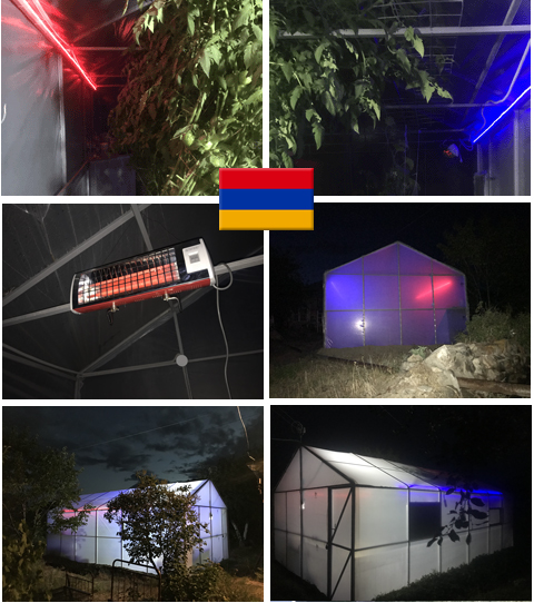 Теплица для растений: подсветка